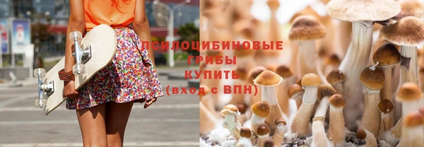 МДПВ Бугульма