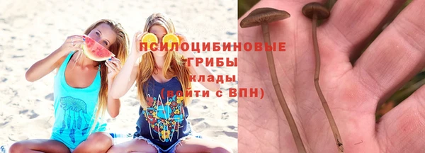 MESCALINE Богородицк