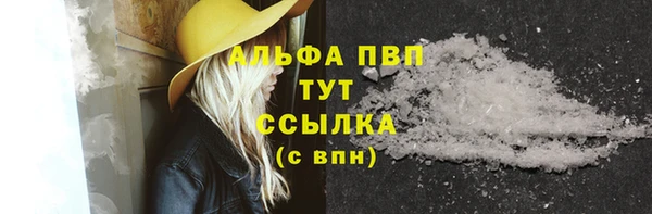 PSILOCYBIN Богданович