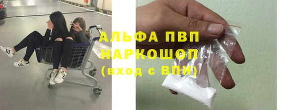 PSILOCYBIN Богданович