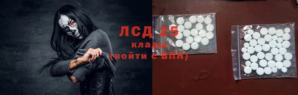 PSILOCYBIN Богданович
