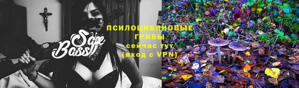 шишки Бронницы